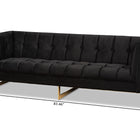 Baxton Studio Ambra Glam and Luxe Black Velvet Upholstered and Button Tufted Sofa with Gold-Tone Frame