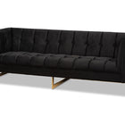 Baxton Studio Ambra Glam and Luxe Black Velvet Upholstered and Button Tufted Sofa with Gold-Tone Frame