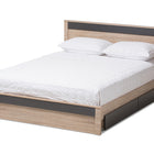 Baxton Studio Jamie Modern and Contemporary Two-Tone Oak and Grey Wood Queen 2-Drawer Queen Size Storage Platform Bed