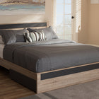 Baxton Studio Jamie Modern and Contemporary Two-Tone Oak and Grey Wood Queen 2-Drawer Queen Size Storage Platform Bed