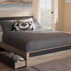 Baxton Studio Jamie Modern and Contemporary Two-Tone Oak and Grey Wood Queen 2-Drawer Queen Size Storage Platform Bed